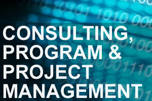 Consulting, Program and Project Mgmt image